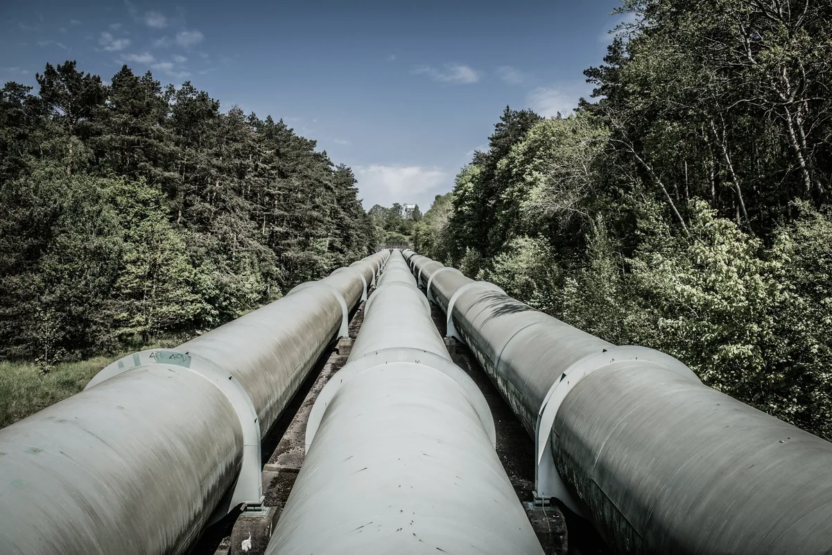 Large utility pipelines running through a wooded corridor